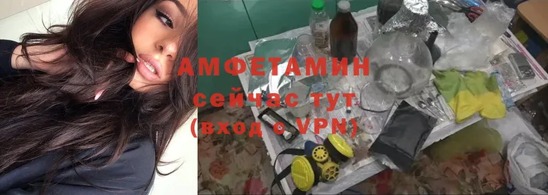 купить   Новокубанск  Amphetamine VHQ 